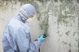 Best Residential Mold Inspection & Testing  in Brevard, NC